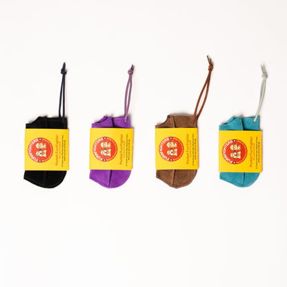 Travel pet hair remover