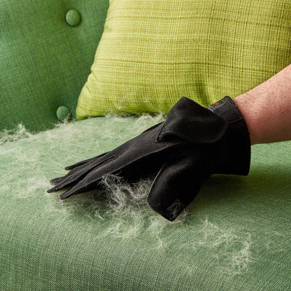 pet hair removal glove​